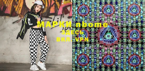 шишки Арсеньев