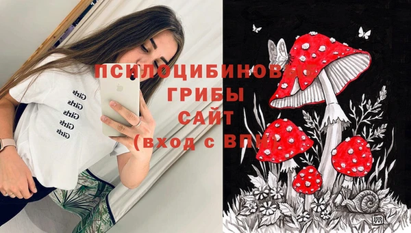 гашик Армянск