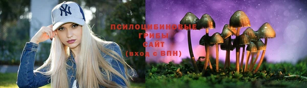гашик Армянск