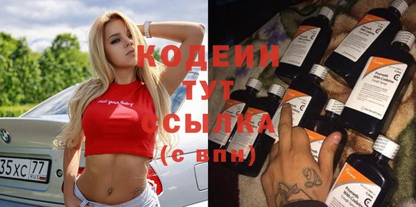 шишки Арсеньев