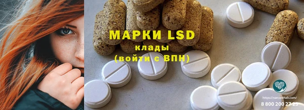 шишки Арсеньев