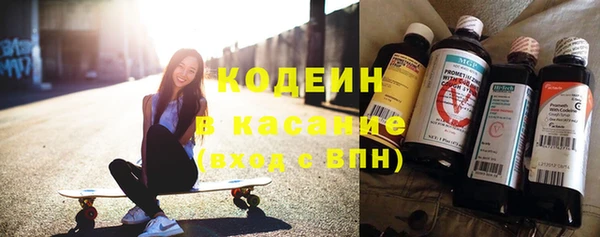шишки Арсеньев